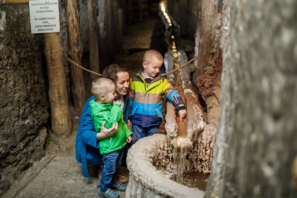 r_wieliczka_art_LR_15092022_graf1.jpg